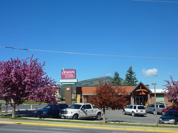 Best Western - Capitol Hotel